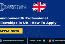 Commonwealth Professional Fellowships 2026 in UK | How To Apply - ScholarWaka