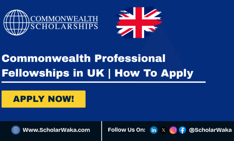 Commonwealth Professional Fellowships 2026 in UK | How To Apply - ScholarWaka