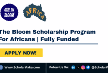 The Bloom Scholarship Program 2025 For Africans | Fully Funded - ScholarWaka
