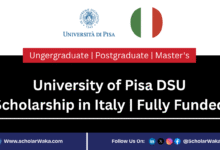 University of Pisa DSU Scholarship in Italy 2025/2026 | Fully Funded