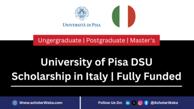 University of Pisa DSU Scholarship in Italy 2025/2026 | Fully Funded