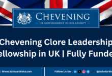 Chevening Clore Leadership Fellowship 2026 In UK | Fully Funded - ScholarWaka
