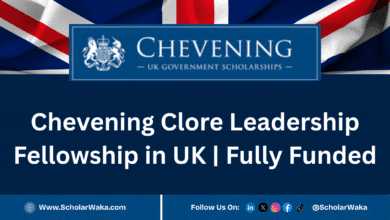 Chevening Clore Leadership Fellowship 2026 In UK | Fully Funded - ScholarWaka
