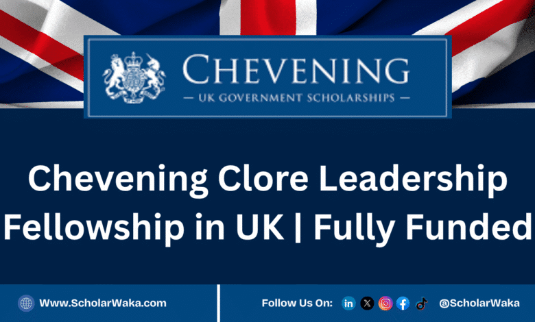 Chevening Clore Leadership Fellowship 2026 In UK | Fully Funded - ScholarWaka