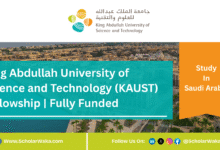 King Abdullah University of Science and Technology (KAUST) Fellowship 2025/2026 | Fully Funded - ScholarWaka