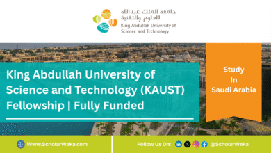 King Abdullah University of Science and Technology (KAUST) Fellowship 2025/2026 | Fully Funded - ScholarWaka
