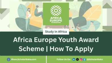 Africa Europe Youth Award Scheme 2025 | How To Apply - ScholarWaka