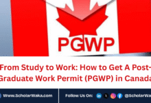 From Study to Work: How to Get A Post-Graduate Work Permit (PGWP) in Canada - ScholarWaka