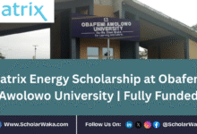 Matrix Energy Scholarship 2025 at Obafemi Awolowo University | Fully Funded - ScholarWaka