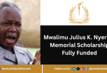 Mwalimu Julius K. Nyerere Memorial Scholarship 2025/2026 | Fully Funded - ScholarWaka