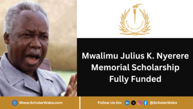 Mwalimu Julius K. Nyerere Memorial Scholarship 2025/2026 | Fully Funded - ScholarWaka