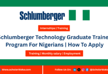 Schlumberger Technology Graduate Trainee Program For Nigerians 2025 | How To Apply - ScholarWaka