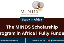 The MINDS Scholarship Program 2025 in Africa | Fully Funded - ScholarWaka