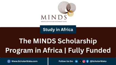 The MINDS Scholarship Program 2025 in Africa | Fully Funded - ScholarWaka
