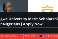 Wigwe University Merit Scholarships 2025 For Nigerians | Apply Now - ScholarWaka
