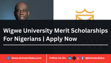 Wigwe University Merit Scholarships 2025 For Nigerians | Apply Now - ScholarWaka