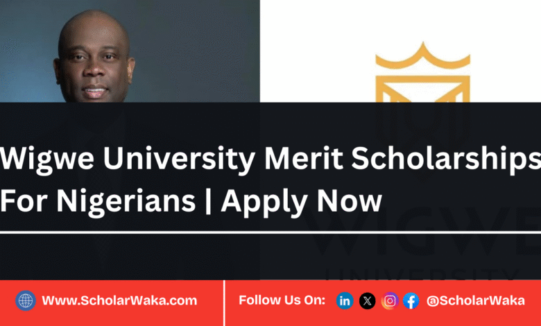 Wigwe University Merit Scholarships 2025 For Nigerians | Apply Now - ScholarWaka