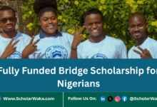The Bridge Scholarship for Nigerians 2025/2026 | Fully Funded - ScholarWaka
