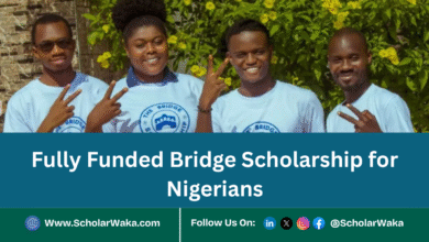 The Bridge Scholarship for Nigerians 2025/2026 | Fully Funded - ScholarWaka