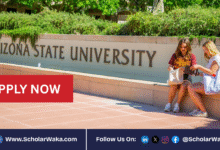 University of Arizona Graduate Scholarship 2026 in USA | Fully Funded - ScholarWaka