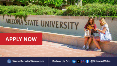 University of Arizona Graduate Scholarship 2026 in USA | Fully Funded - ScholarWaka