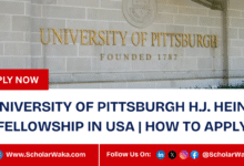 University of Pittsburgh H.J. Heinz Fellowship 2025 In USA | How To Apply - ScholarWaka