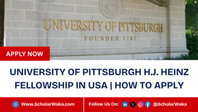 University of Pittsburgh H.J. Heinz Fellowship 2025 In USA | How To Apply - ScholarWaka