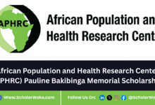 African Population and Health Research Center (APHRC) Pauline Bakibinga Memorial Scholarship 2025 - ScholarWaka