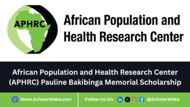 African Population and Health Research Center (APHRC) Pauline Bakibinga Memorial Scholarship 2025 - ScholarWaka