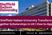 Sheffield Hallam University Transform Together Scholarships 2026 in UK | How to Apply - ScholarWaka