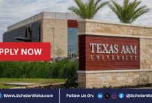 Texas A&M University Chancellor’s Fellowship 2026 | Fully Funded - ScholarWaka