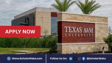 Texas A&M University Chancellor’s Fellowship 2026 | Fully Funded - ScholarWaka