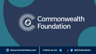 2026 Commonwealth Foundation Grants For Civil Society Organizations | How to Apply - ScholarWaka