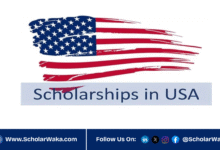 University of Missouri Graduate Scholarship 2026 in USA | Fully Funded - ScholarWaka