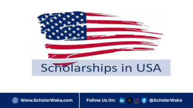 University of Missouri Graduate Scholarship 2026 in USA | Fully Funded - ScholarWaka