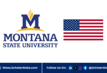 2026 Montana State University Scholarship in USA | Fully Funded - ScholarWaka