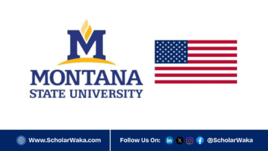 2026 Montana State University Scholarship in USA | Fully Funded - ScholarWaka