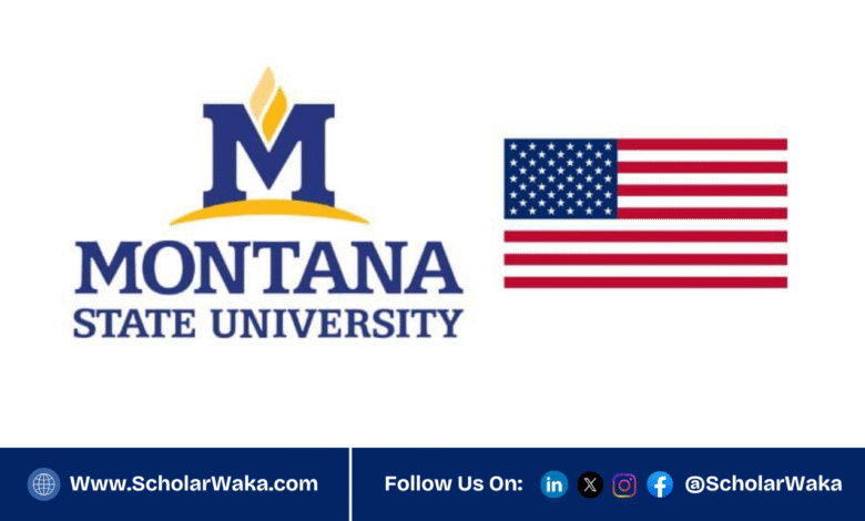 2026 Montana State University Scholarship in USA | Fully Funded - ScholarWaka