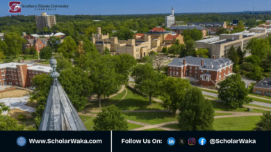 Southern Illinois University Graduate Scholarship 2026 in USA | Fully Funded - ScholarWaka