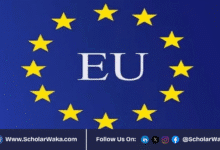 EU Delegation to the African Union Traineeship Program 2025 (fully funded) | How to Apply - ScholarWaka