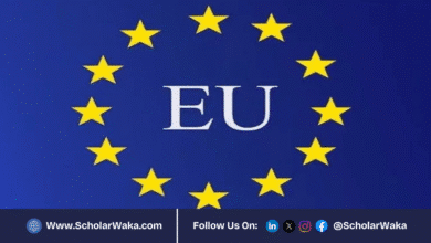 EU Delegation to the African Union Traineeship Program 2025 (fully funded) | How to Apply - ScholarWaka