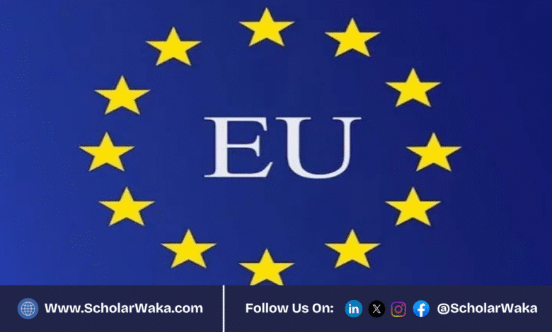 EU Delegation to the African Union Traineeship Program 2025 (fully funded) | How to Apply - ScholarWaka