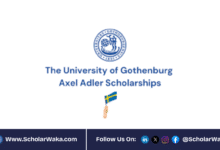 University of Gothenburg Axel Adler Scholarship 2026 in Sweden | How to Apply - ScholarWaka