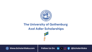 University of Gothenburg Axel Adler Scholarship 2026 in Sweden | How to Apply - ScholarWaka