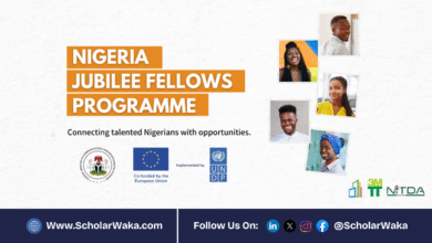 Nigeria Jubilee Fellows Programme (NJFP) | How to Apply - ScholarWaka