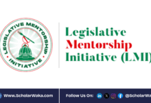 Legislative Mentorship Initiative (LMI) Fellowship 2025 For Nigerians | How to Apply - ScholarWaka