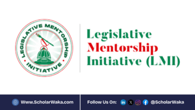Legislative Mentorship Initiative (LMI) Fellowship 2025 For Nigerians | How to Apply - ScholarWaka