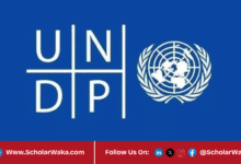 United Nations Development Programme (UNDP) Internship 2026 In Denmark | How to Apply - ScholarWaka
