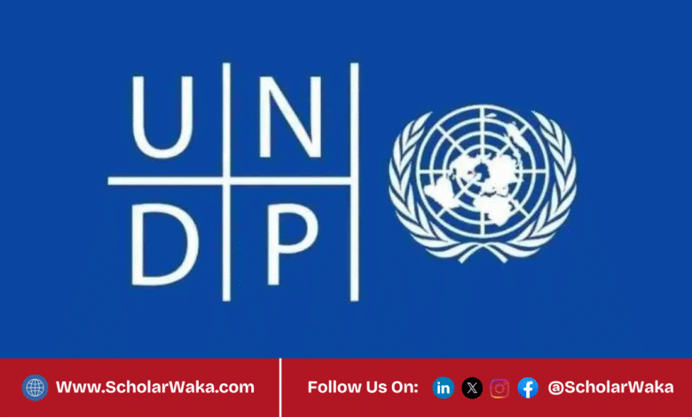 United Nations Development Programme (UNDP) Internship 2026 In Denmark | How to Apply - ScholarWaka