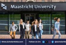Maastricht University NL-High Potential Scholarship 2026 in Netherlands | Fully Funded - ScholarWaka